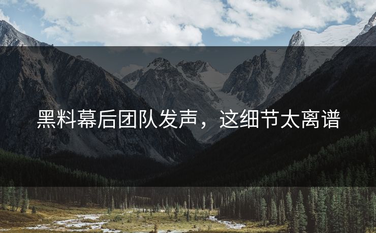黑料幕后团队发声，这细节太离谱