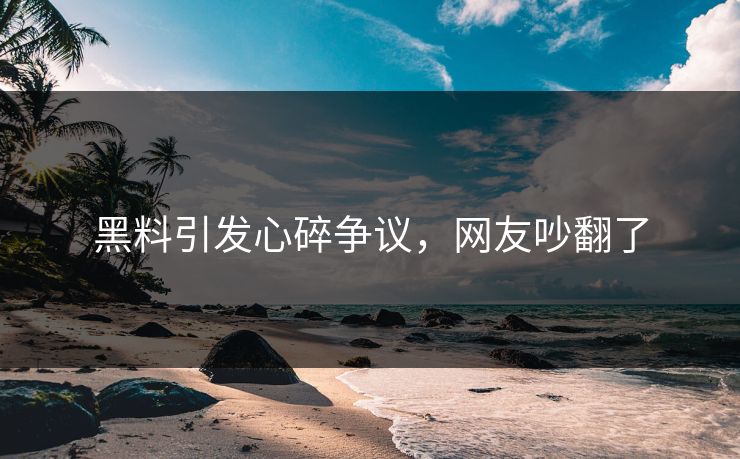 黑料引发心碎争议，网友吵翻了
