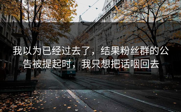 我以为已经过去了，结果粉丝群的公告被提起时，我只想把话咽回去