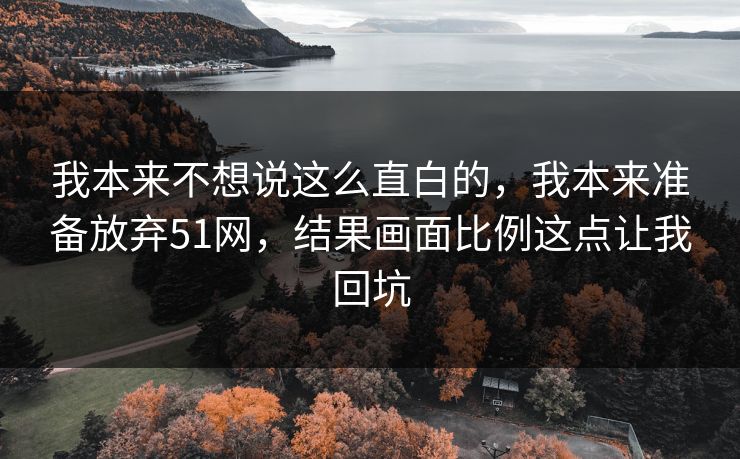 我本来不想说这么直白的，我本来准备放弃51网，结果画面比例这点让我回坑